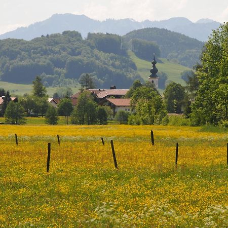 Ferienwohnungen Im Alpengaestehaus Marzoll - Bad Reichenhall Ngoại thất bức ảnh