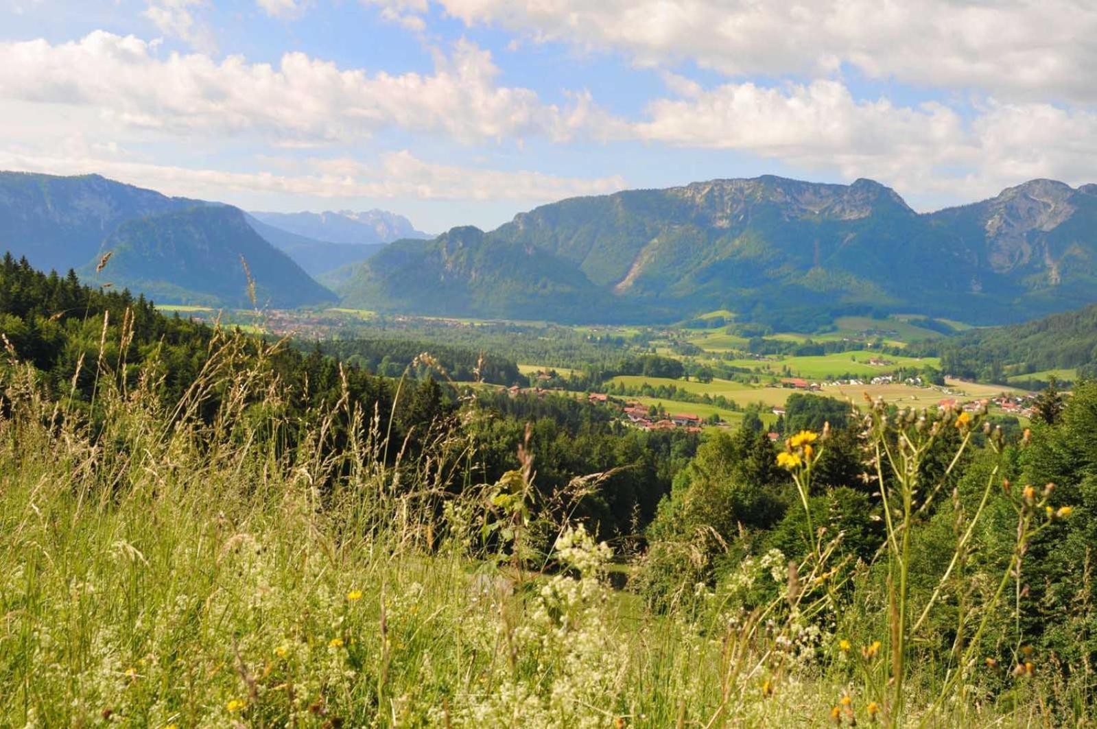Ferienwohnungen Im Alpengaestehaus Marzoll - Bad Reichenhall Ngoại thất bức ảnh