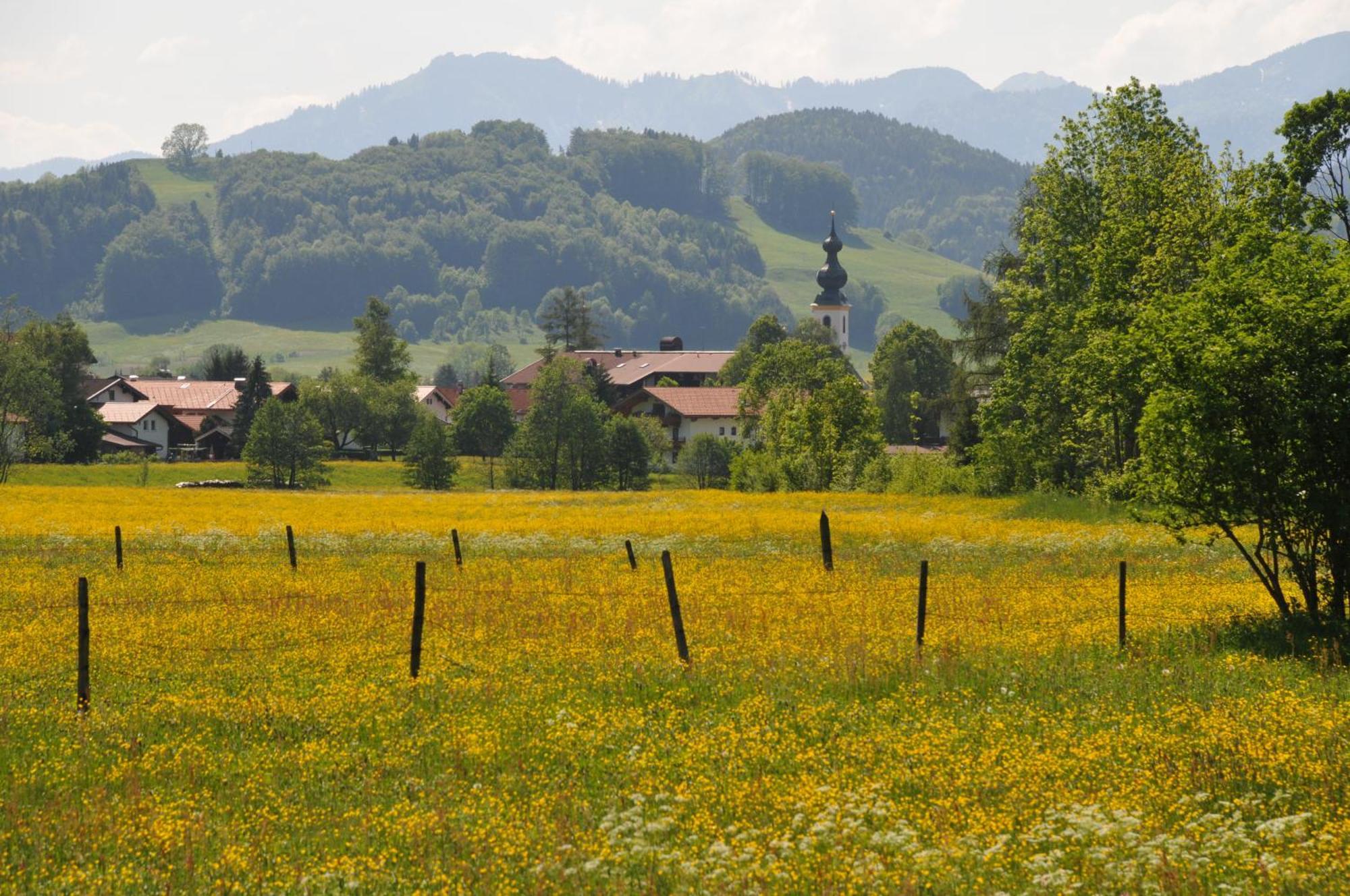 Ferienwohnungen Im Alpengaestehaus Marzoll - Bad Reichenhall Ngoại thất bức ảnh