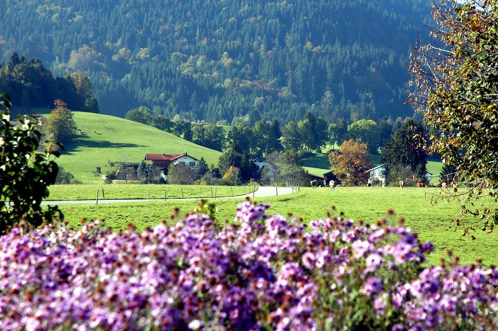 Ferienwohnungen Im Alpengaestehaus Marzoll - Bad Reichenhall Ngoại thất bức ảnh